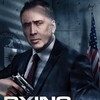 Dying of the Light [2014] / H264 / MKV / Blu-ray / 1080p / DTS / Subs / iFT thumb