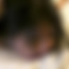 PKFStudios.com Pack (77 Clips) thumbnail